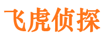 瑶海市调查公司